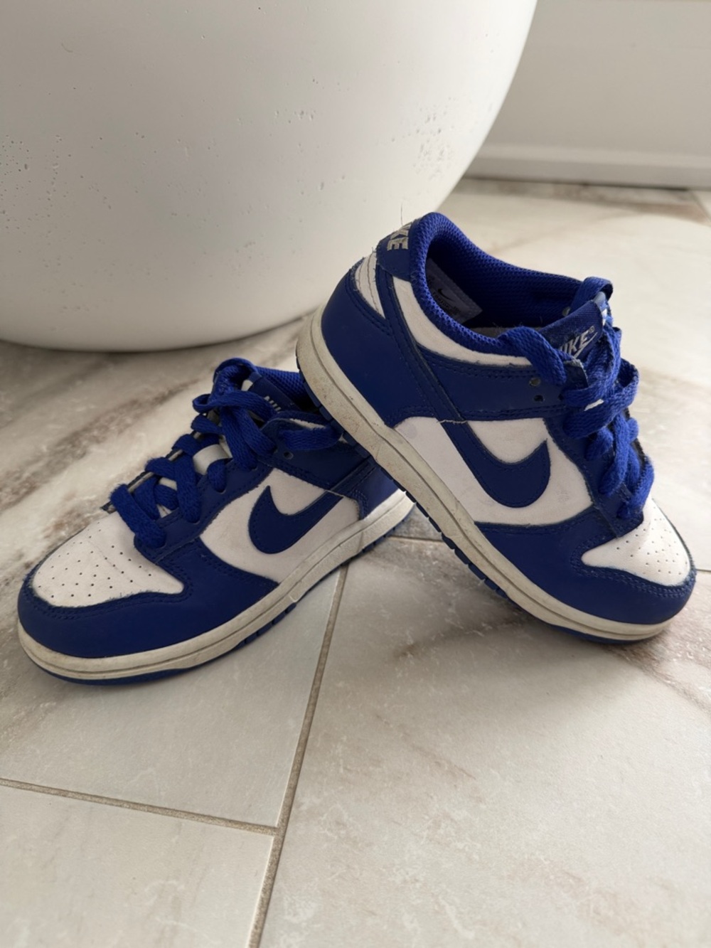 Nike Kids Blue and White Low-Top Sneakers(Dunks)